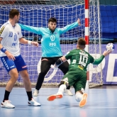 PPD Zagreb spoil Antl's SEHA coaching debut